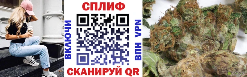 Бошки Шишки планчик  Светлоград 
